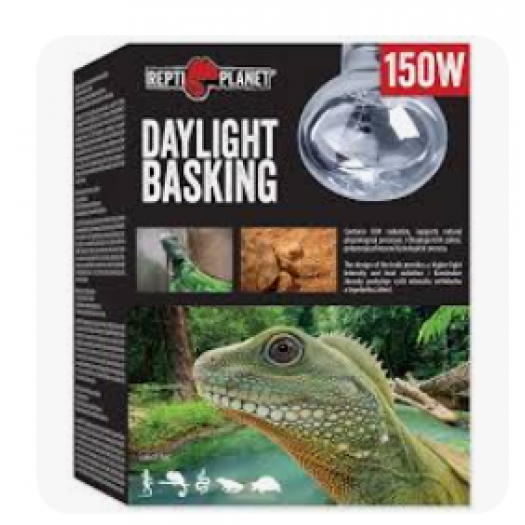 REPTI PLANET Daylight BASKING SPOT lempa, 150 W 